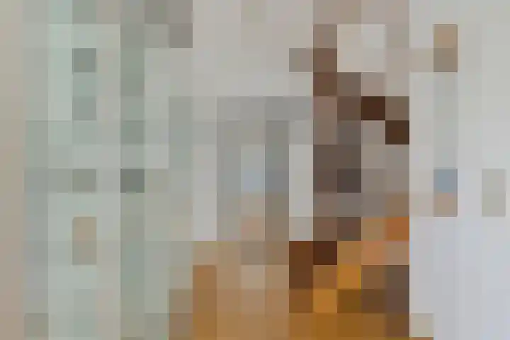 Plataan 74 Mierlo thumbnail 10