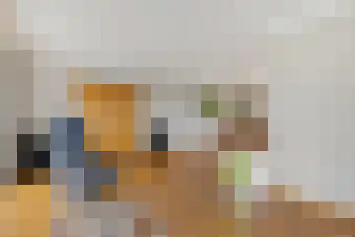 Plataan 74 Mierlo thumbnail 12