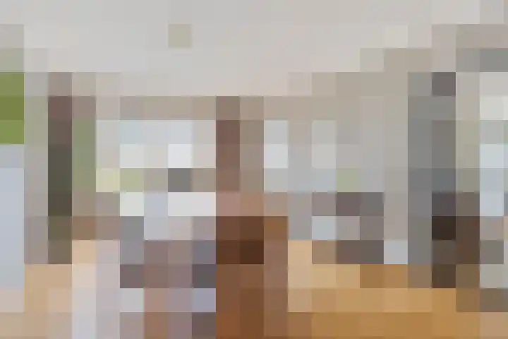 Plataan 74 Mierlo thumbnail 17