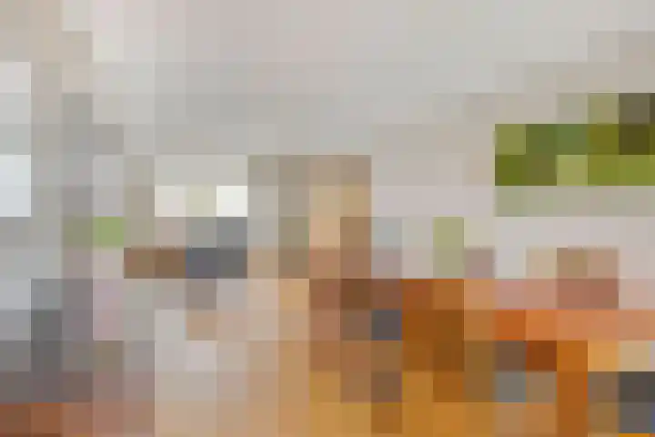 Plataan 74 Mierlo thumbnail 18