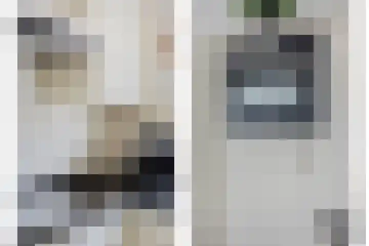 Plataan 74 Mierlo thumbnail 22