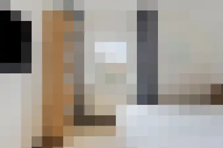 Plataan 74 Mierlo thumbnail 29