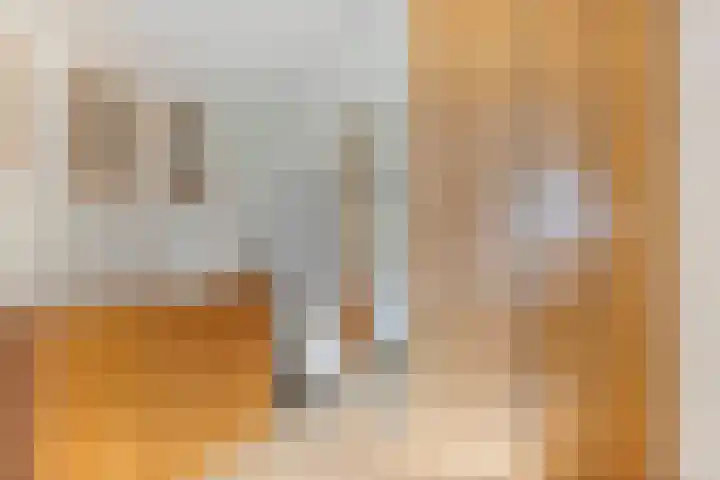 Plataan 74 Mierlo thumbnail 31