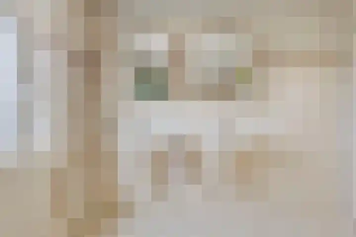 Plataan 74 Mierlo thumbnail 39