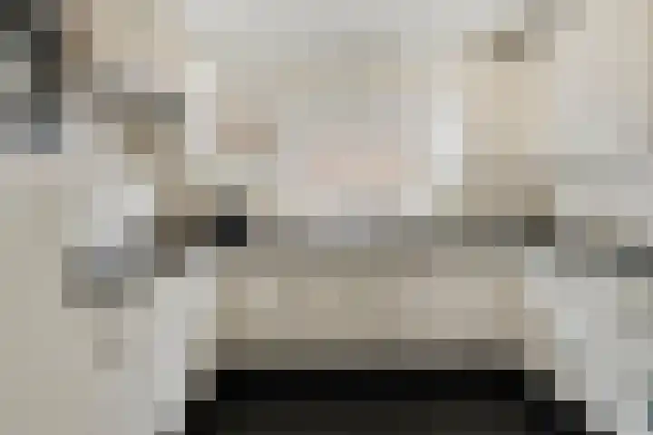 Plataan 74 Mierlo thumbnail 4