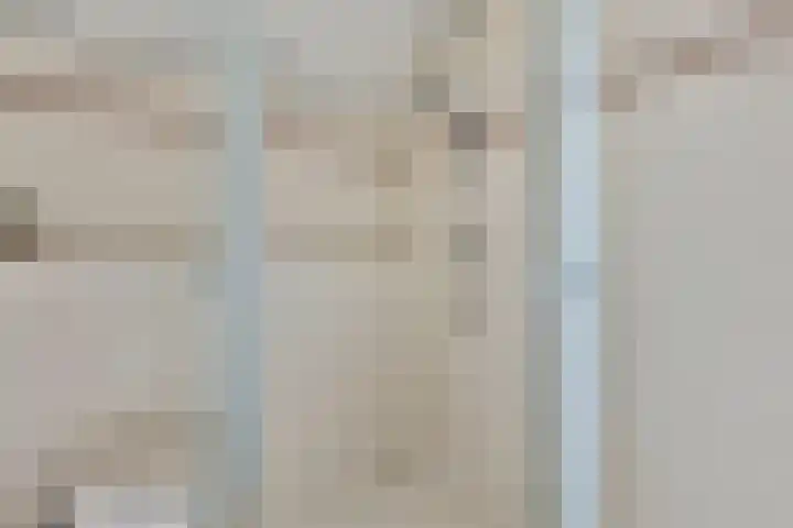Plataan 74 Mierlo thumbnail 40