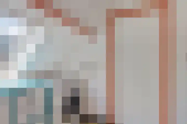 Plataan 74 Mierlo thumbnail 41