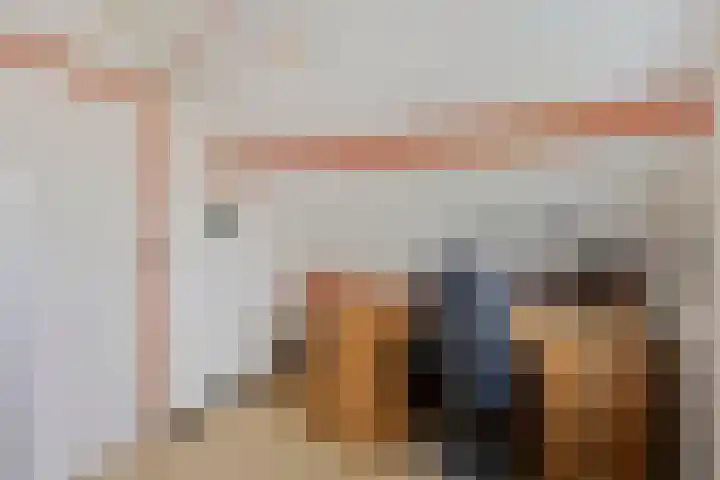 Plataan 74 Mierlo thumbnail 44