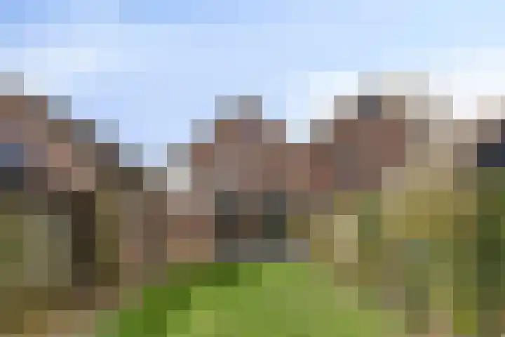 Plataan 74 Mierlo thumbnail 51