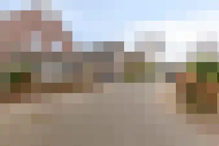 Plataan 74 Mierlo thumbnail 54