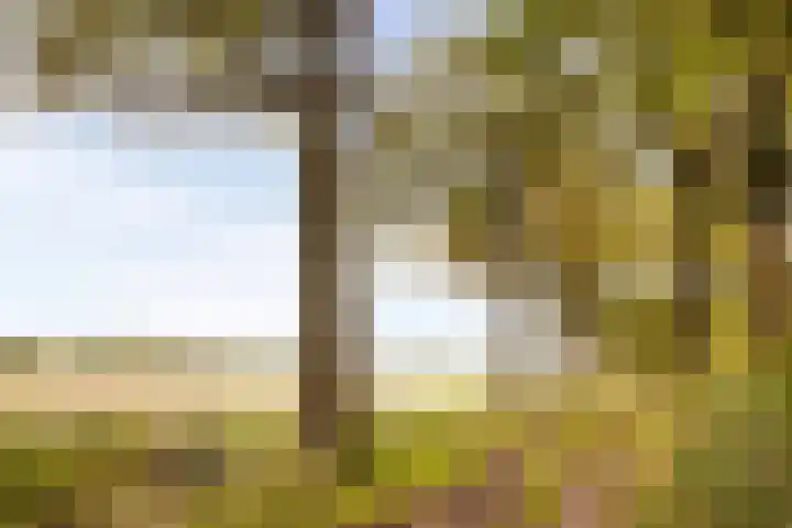 Plataan 74 Mierlo thumbnail 56