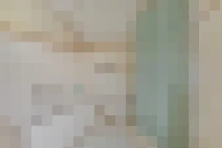 Plataan 74 Mierlo thumbnail 6