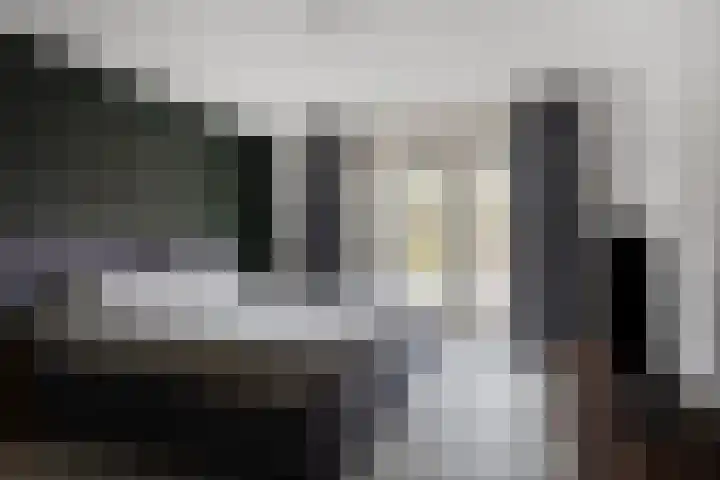 Plataan 8 Coevorden thumbnail 14