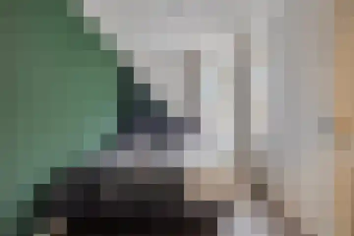 Plataan 8 Coevorden thumbnail 17