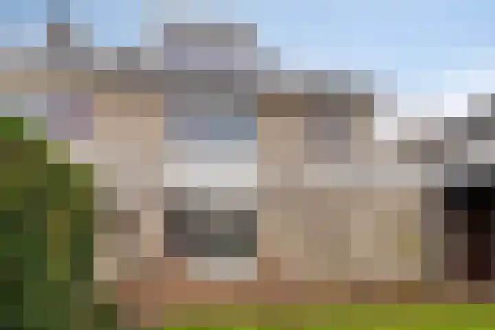 Plataan 8 Coevorden thumbnail 21