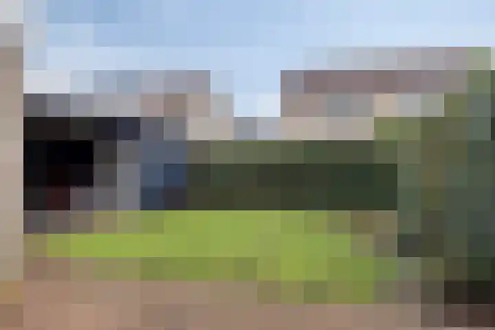 Plataan 8 Coevorden thumbnail 22