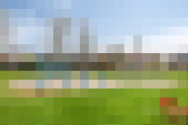 Plataan 8 Coevorden thumbnail 25