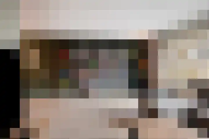 Plataan 8 Coevorden thumbnail 5