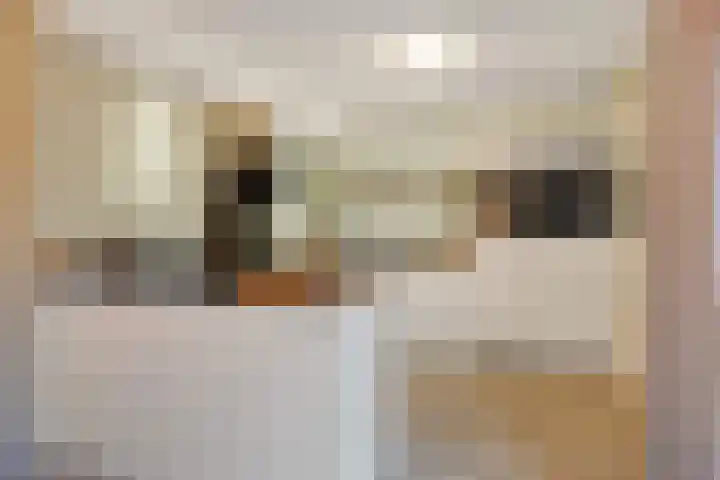 Plataan 8 Coevorden thumbnail 8