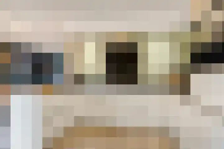 Plataan 8 Coevorden thumbnail 9