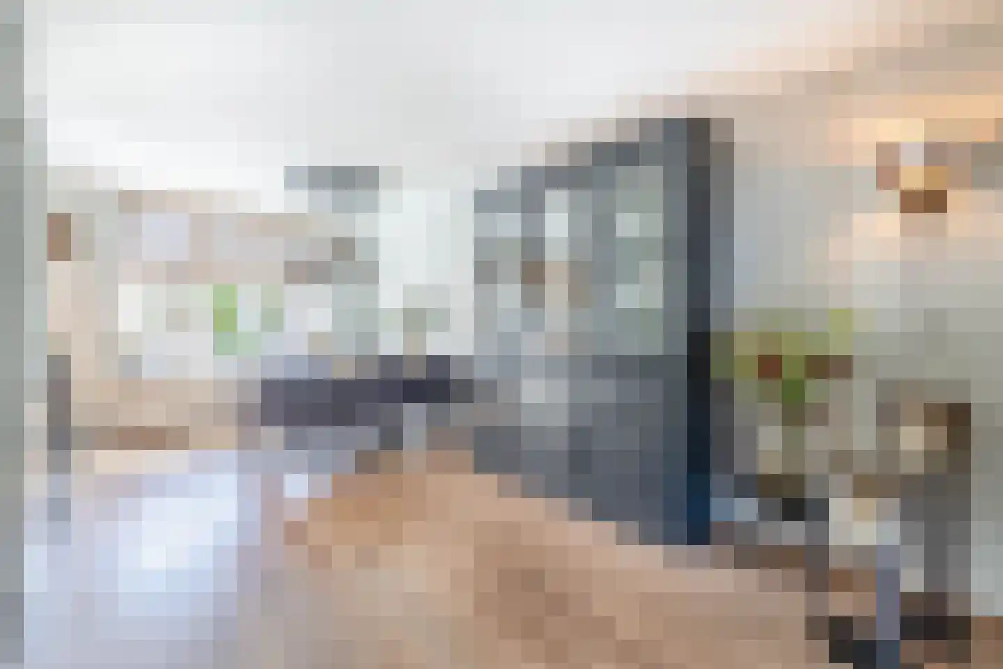 Plataan 9 Melissant thumbnail 10