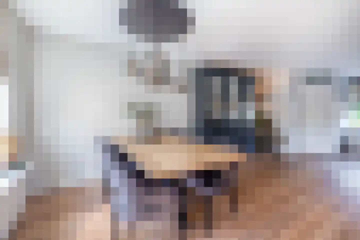 Plataan 9 Melissant thumbnail 12