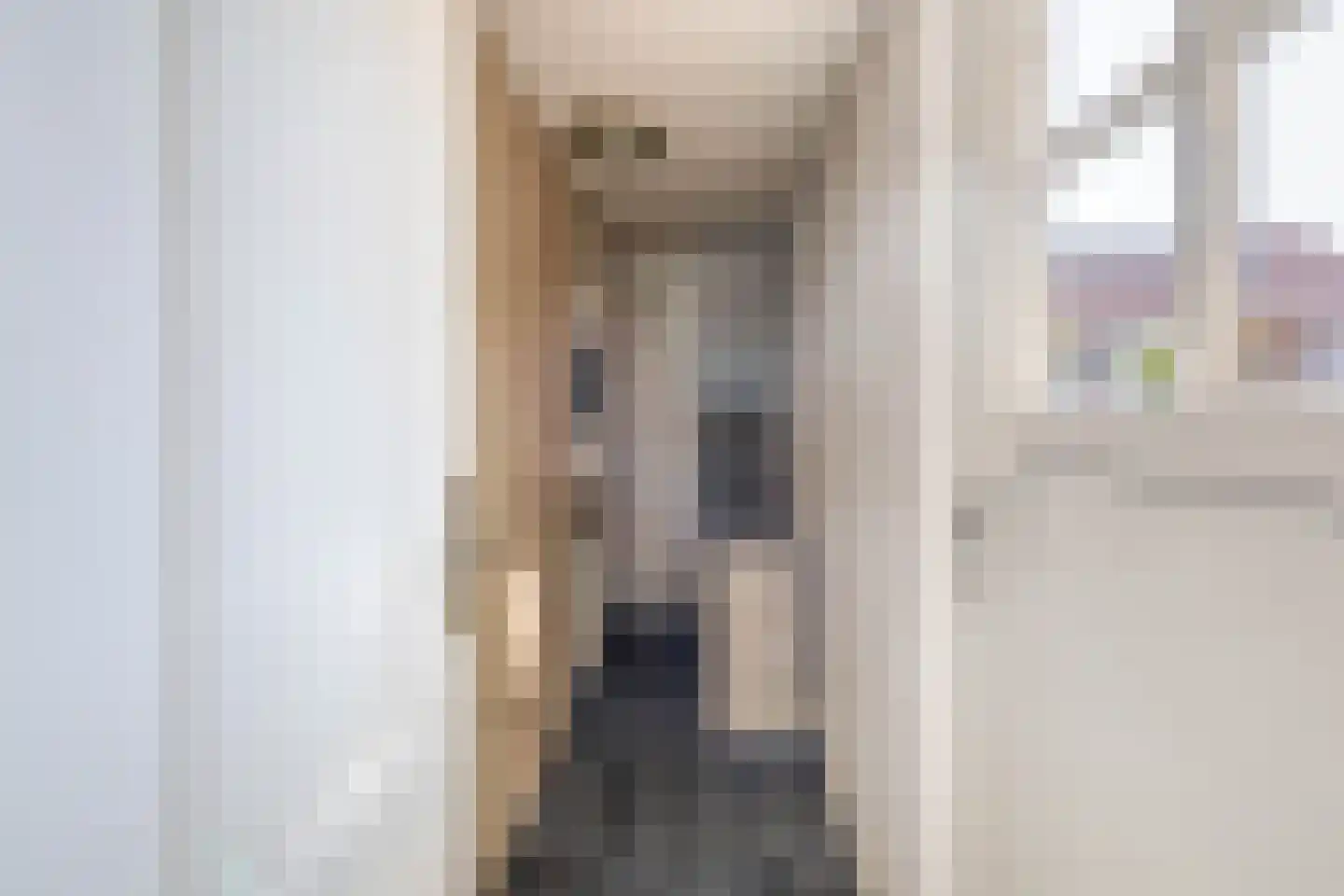 Plataan 9 Melissant thumbnail 17