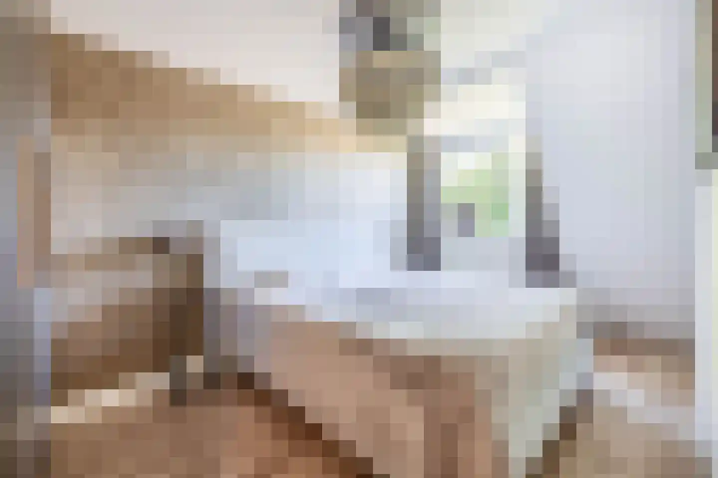 Plataan 9 Melissant thumbnail 19