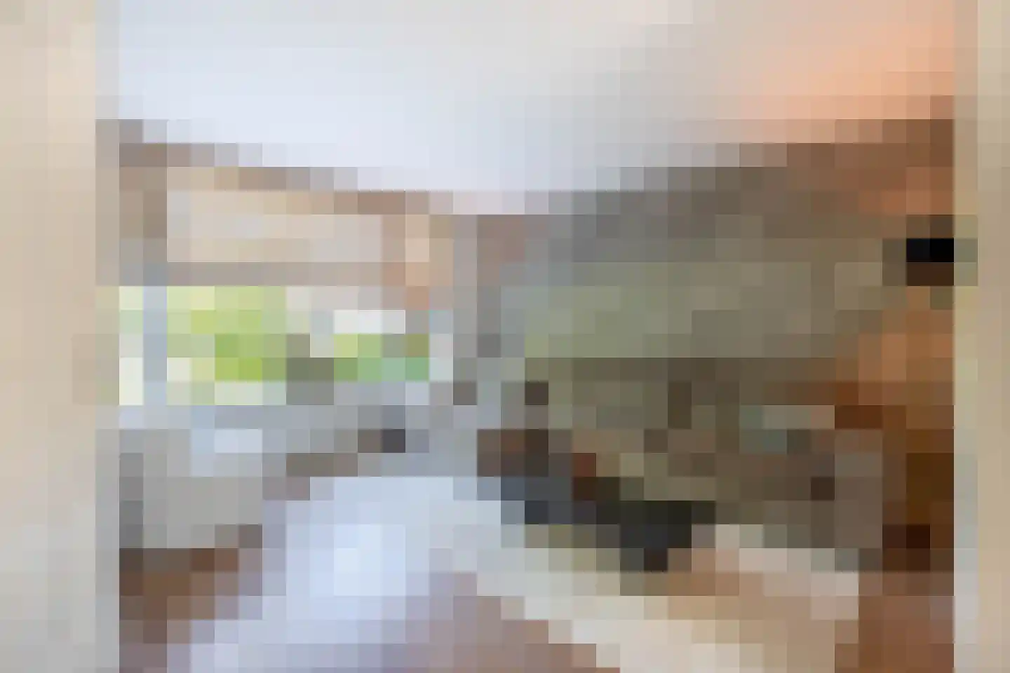 Plataan 9 Melissant foto 2