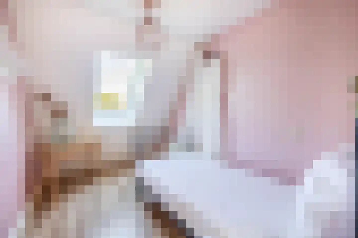 Plataan 9 Melissant thumbnail 21