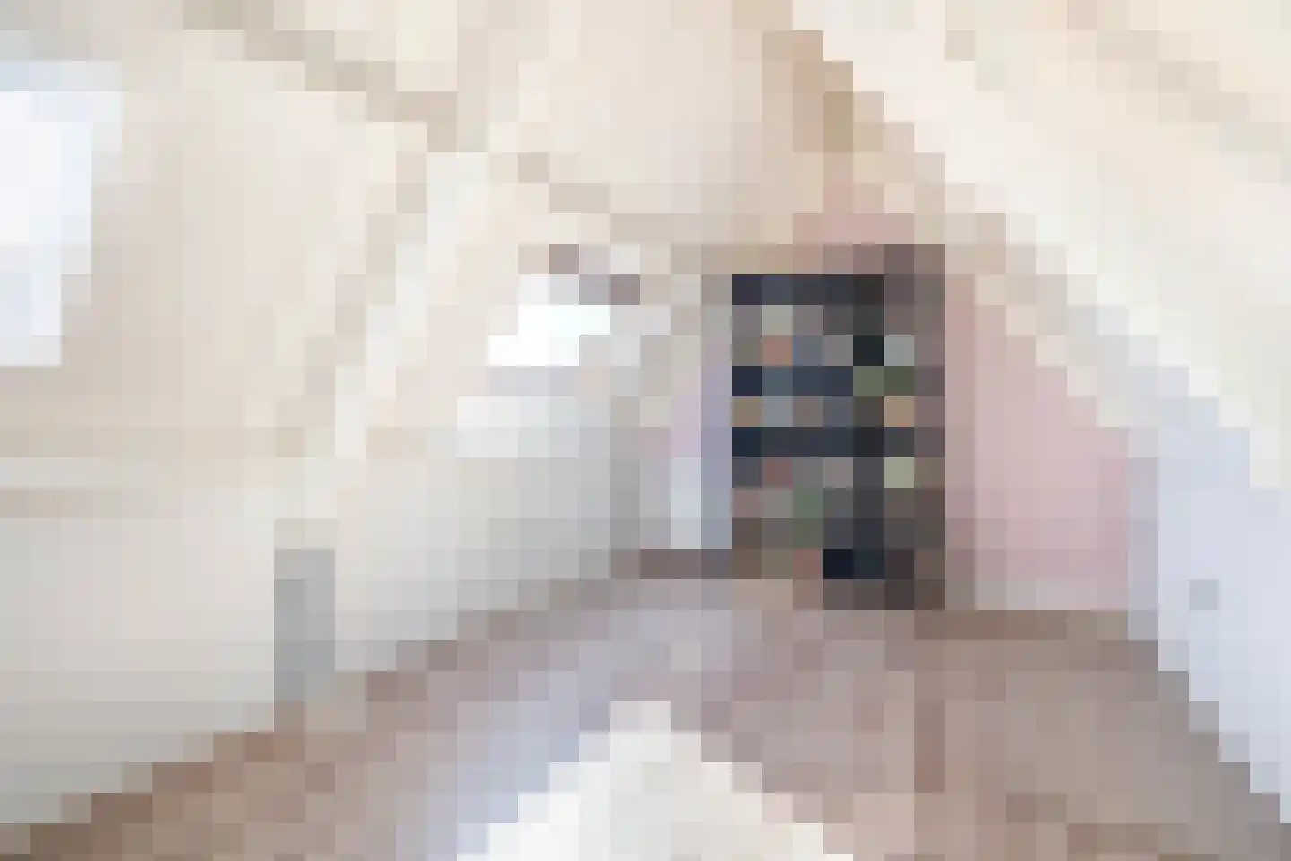 Plataan 9 Melissant thumbnail 25