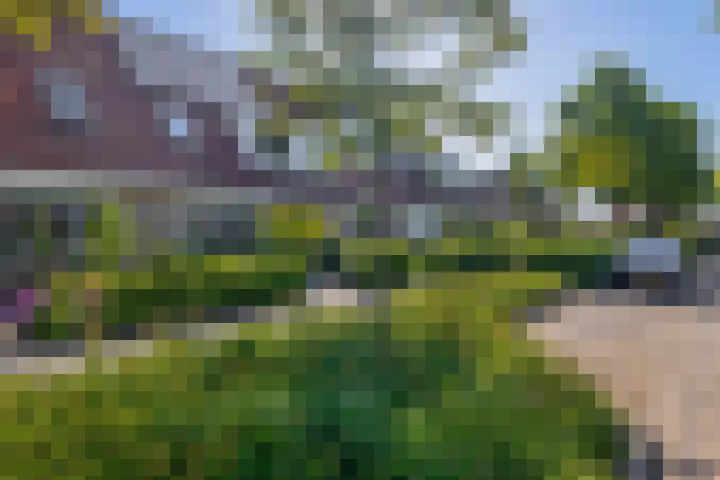 Plataan 9 Melissant thumbnail 36