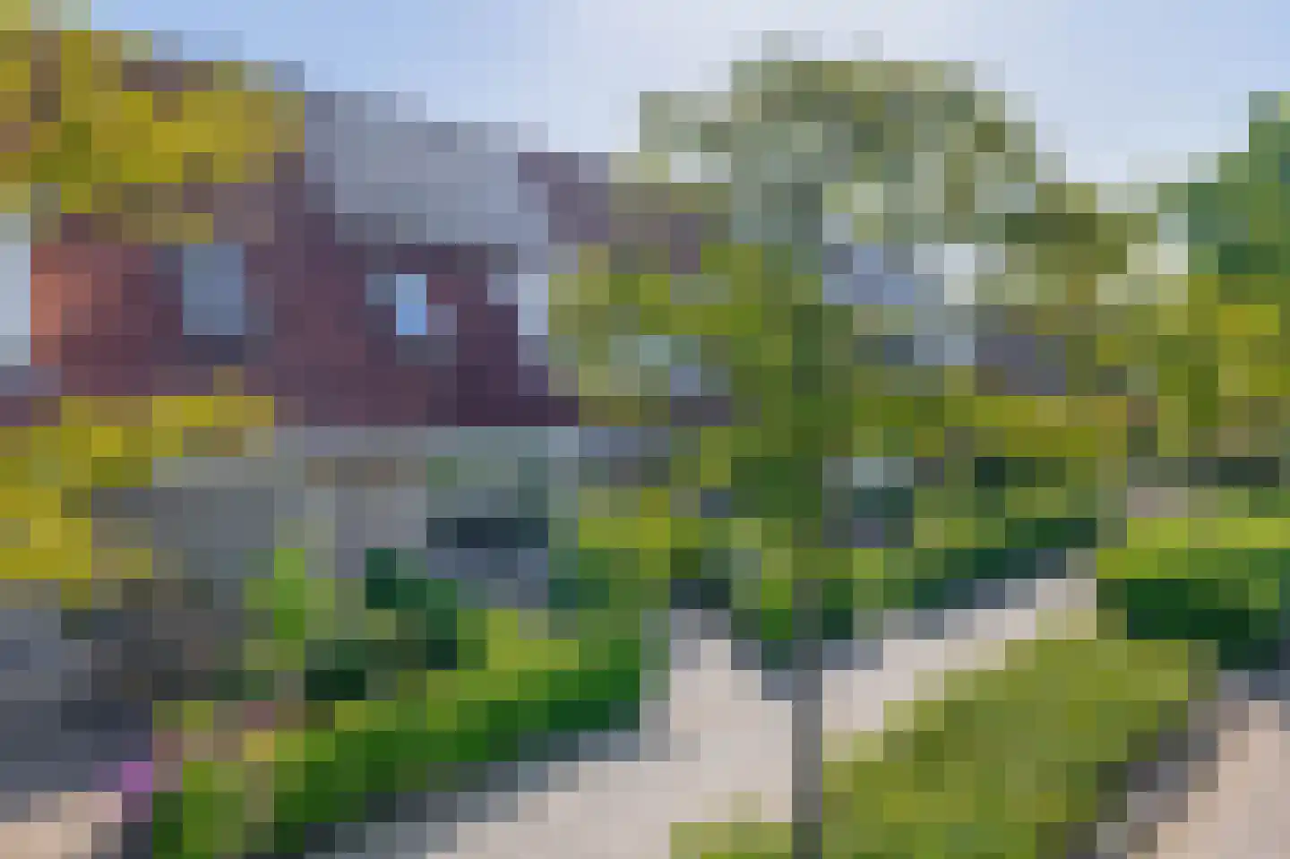 Plataan 9 Melissant thumbnail 37