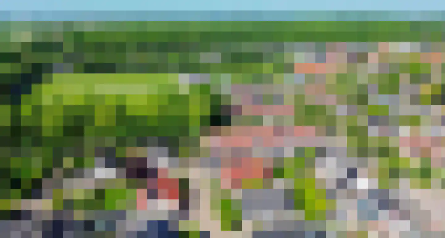 Plataan 9 Melissant thumbnail 40
