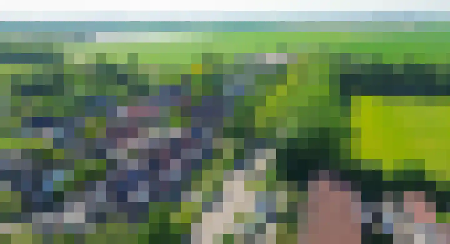 Plataan 9 Melissant thumbnail 41