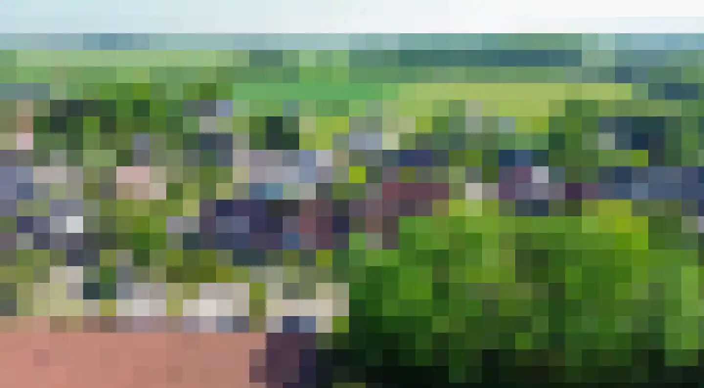 Plataan 9 Melissant thumbnail 42