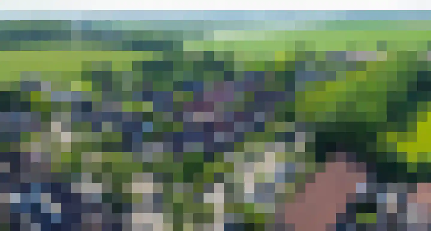 Plataan 9 Melissant thumbnail 43