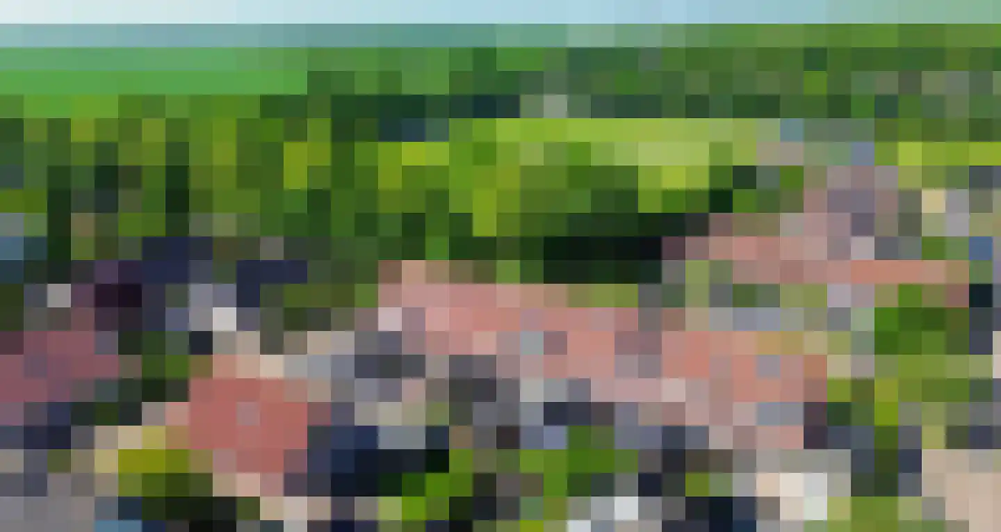 Plataan 9 Melissant thumbnail 44