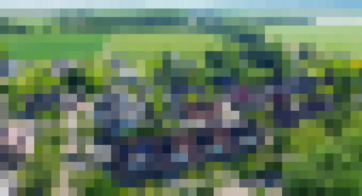 Plataan 9 Melissant thumbnail 45