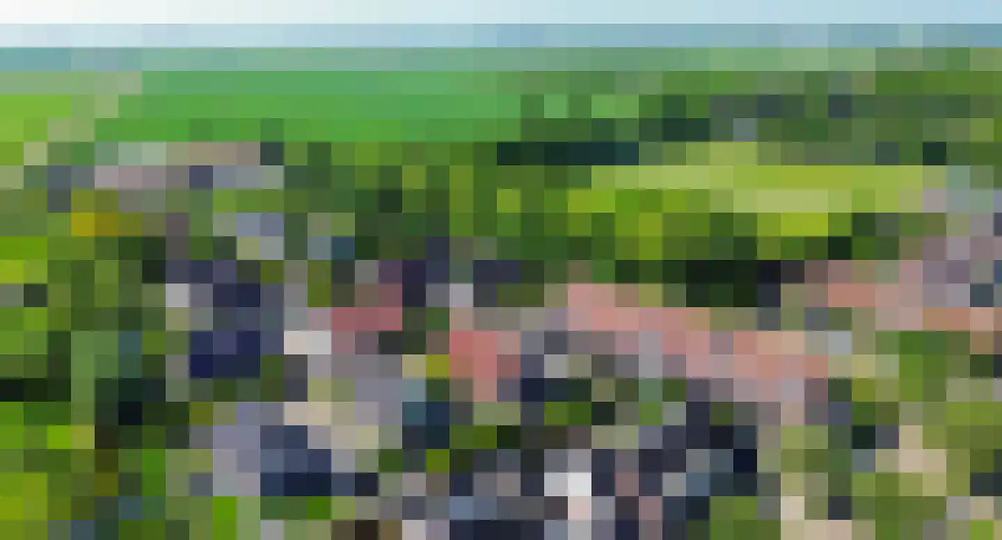 Plataan 9 Melissant thumbnail 46