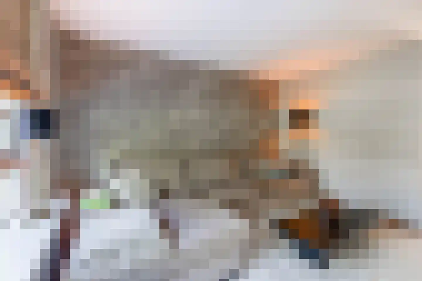 Plataan 9 Melissant thumbnail 8