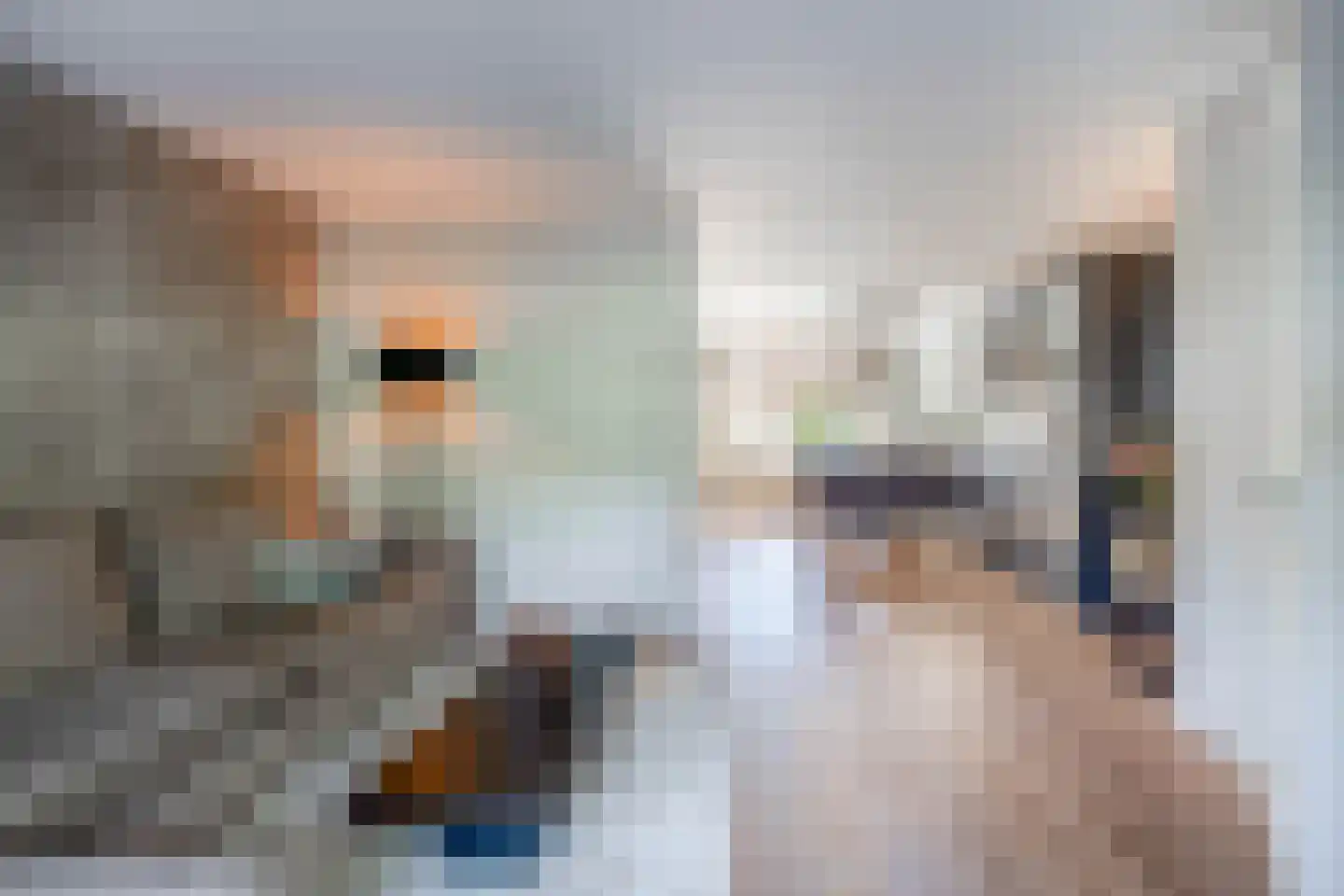 Plataan 9 Melissant thumbnail 9