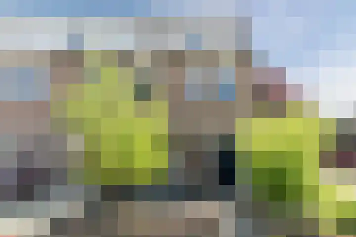 Plataanbeek 34 Veldhoven thumbnail 52