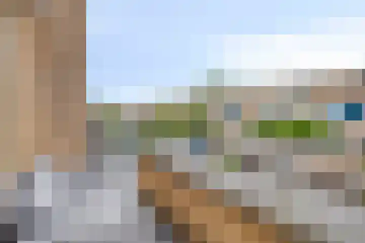 Plataanhout 86 Zoetermeer thumbnail 12