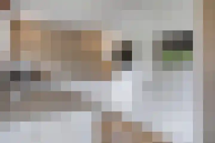 Plataanhout 86 Zoetermeer thumbnail 14