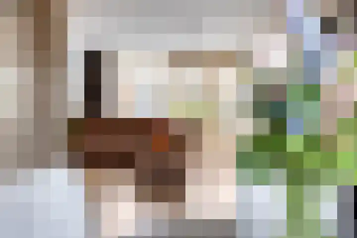 Plataanhout 86 Zoetermeer thumbnail 18