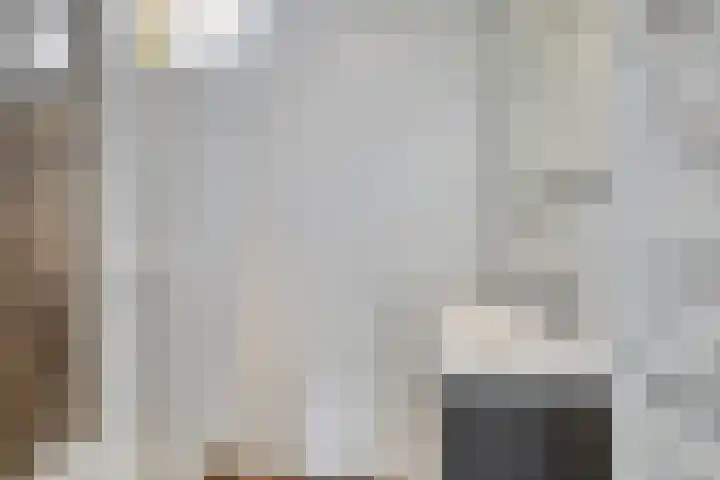 Plataanhout 86 Zoetermeer thumbnail 21