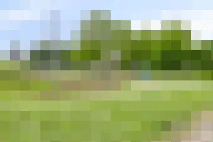 Plataanhout 86 Zoetermeer thumbnail 24