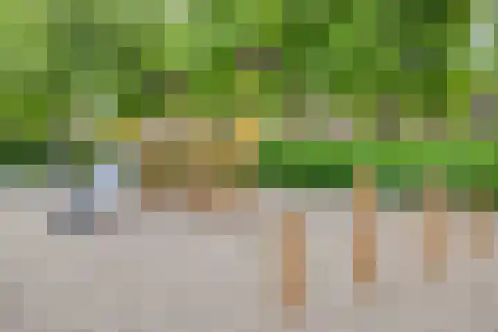 Plataanhout 86 Zoetermeer thumbnail 25
