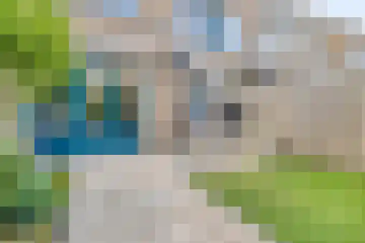 Plataanhout 86 Zoetermeer thumbnail 8